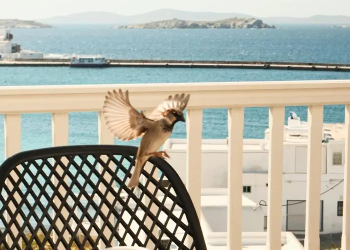 ベッド・アンド・ブレックファスト Yalos Sunset View Private